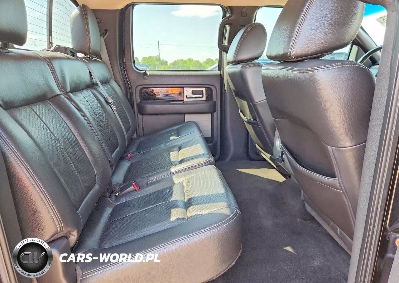 2010 Ford F150 Supercrew VIN:1FTFW1EV5AKE25173 - 10
