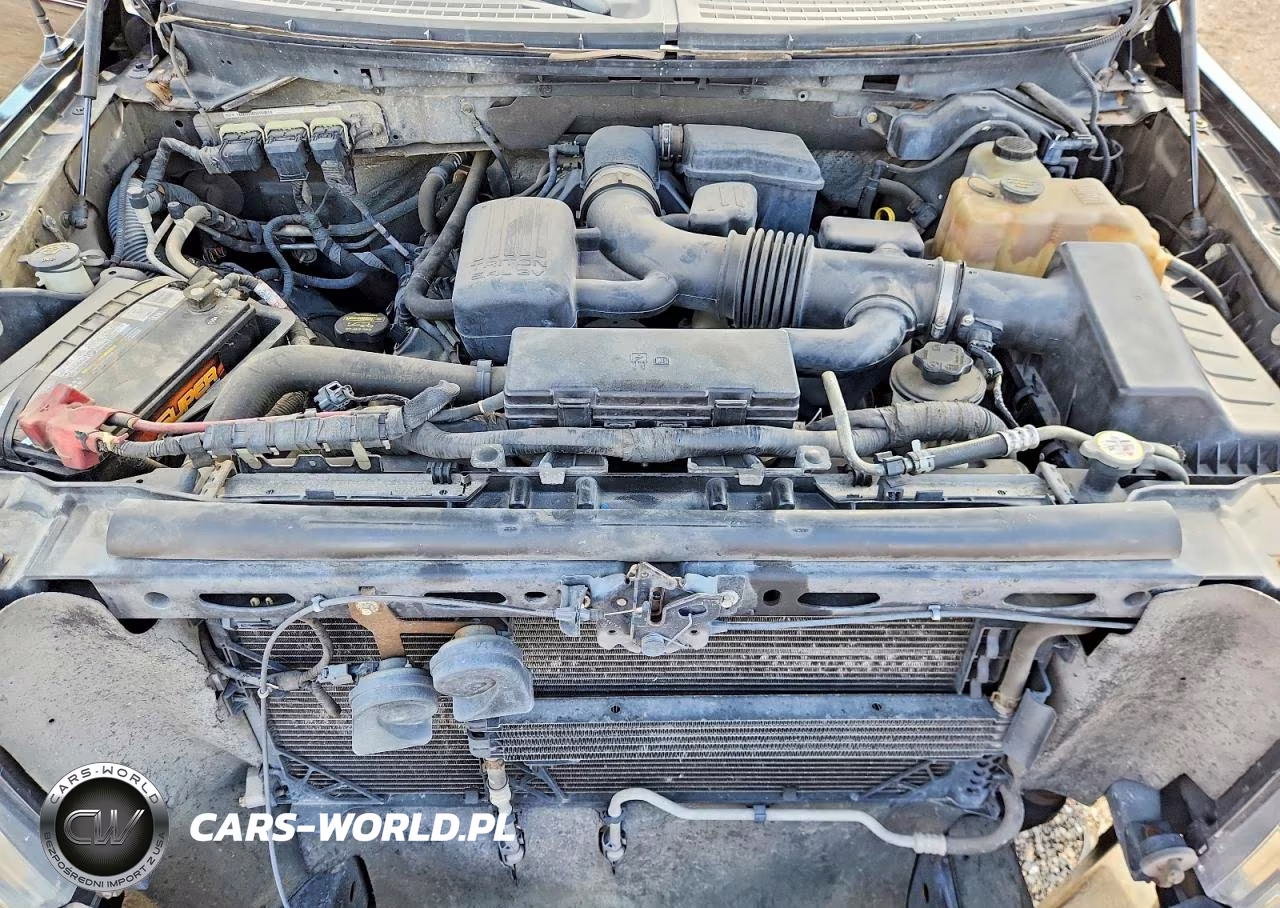 2010 Ford F150 Supercrew VIN:1FTFW1EV5AKE25173 - 11