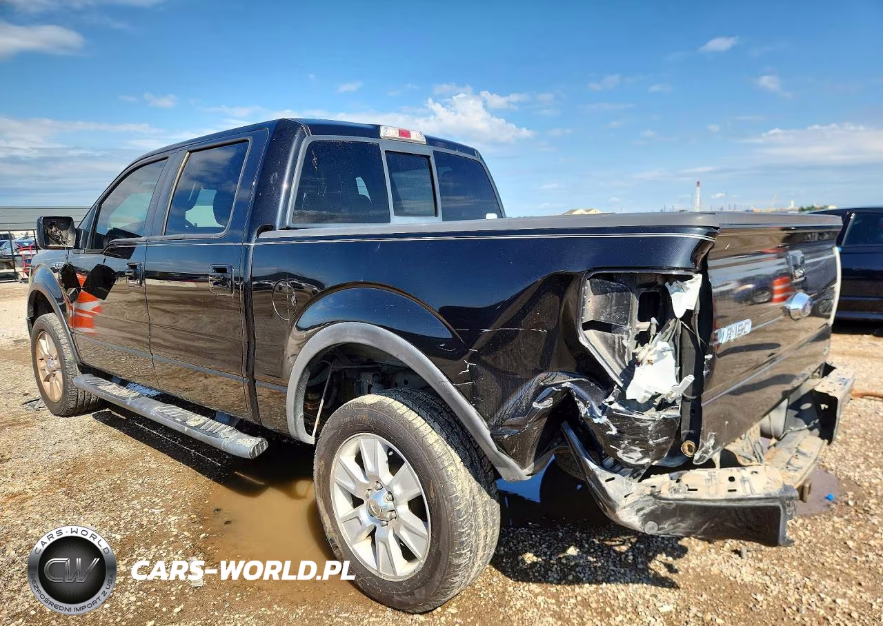 2010 Ford F150 Supercrew VIN:1FTFW1EV5AKE25173 - 2