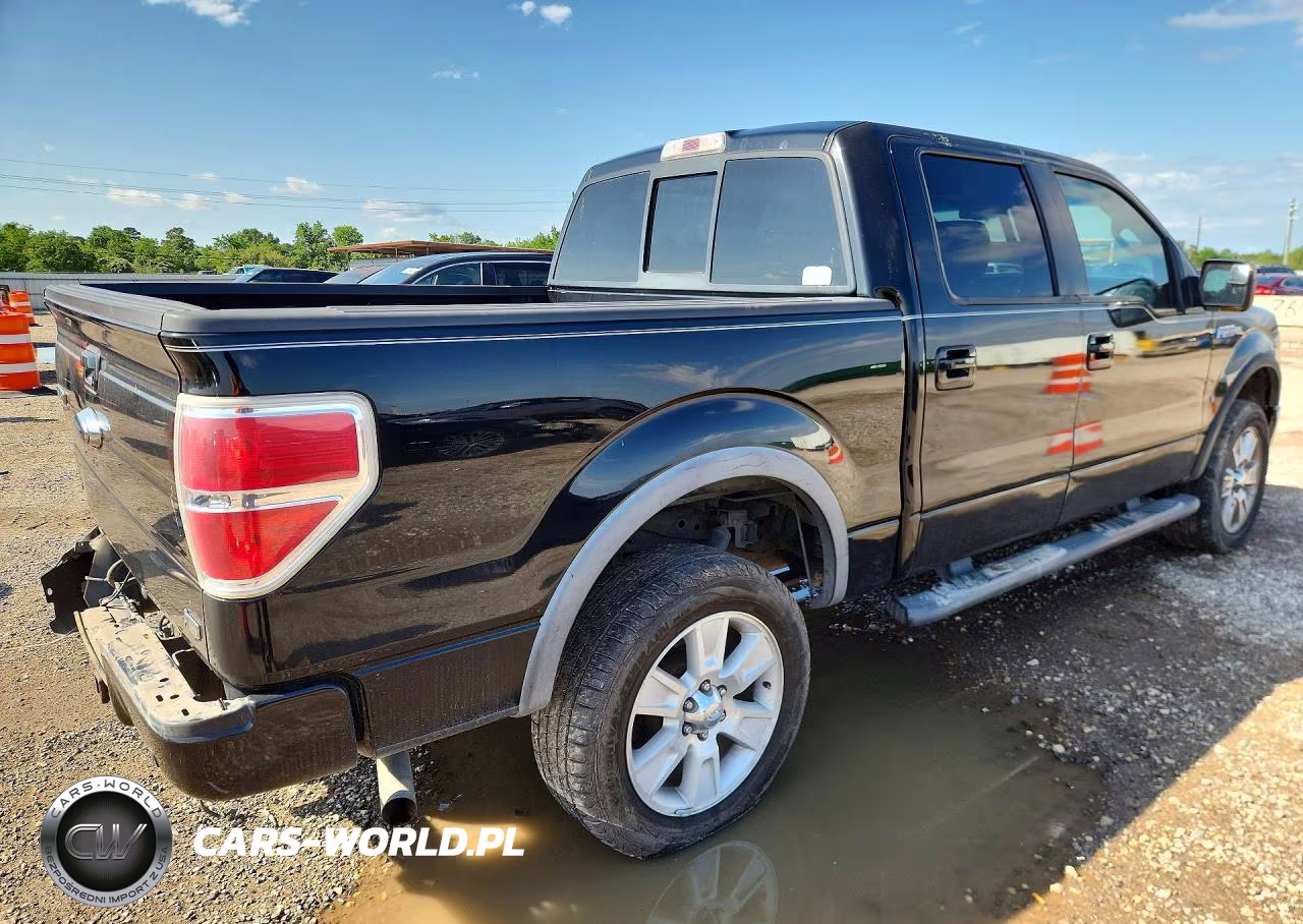 2010 Ford F150 Supercrew VIN:1FTFW1EV5AKE25173 - 3