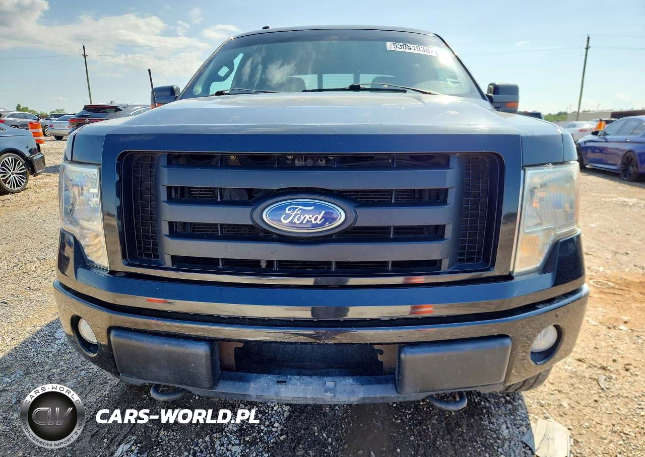 2010 Ford F150 Supercrew VIN:1FTFW1EV5AKE25173 - 5