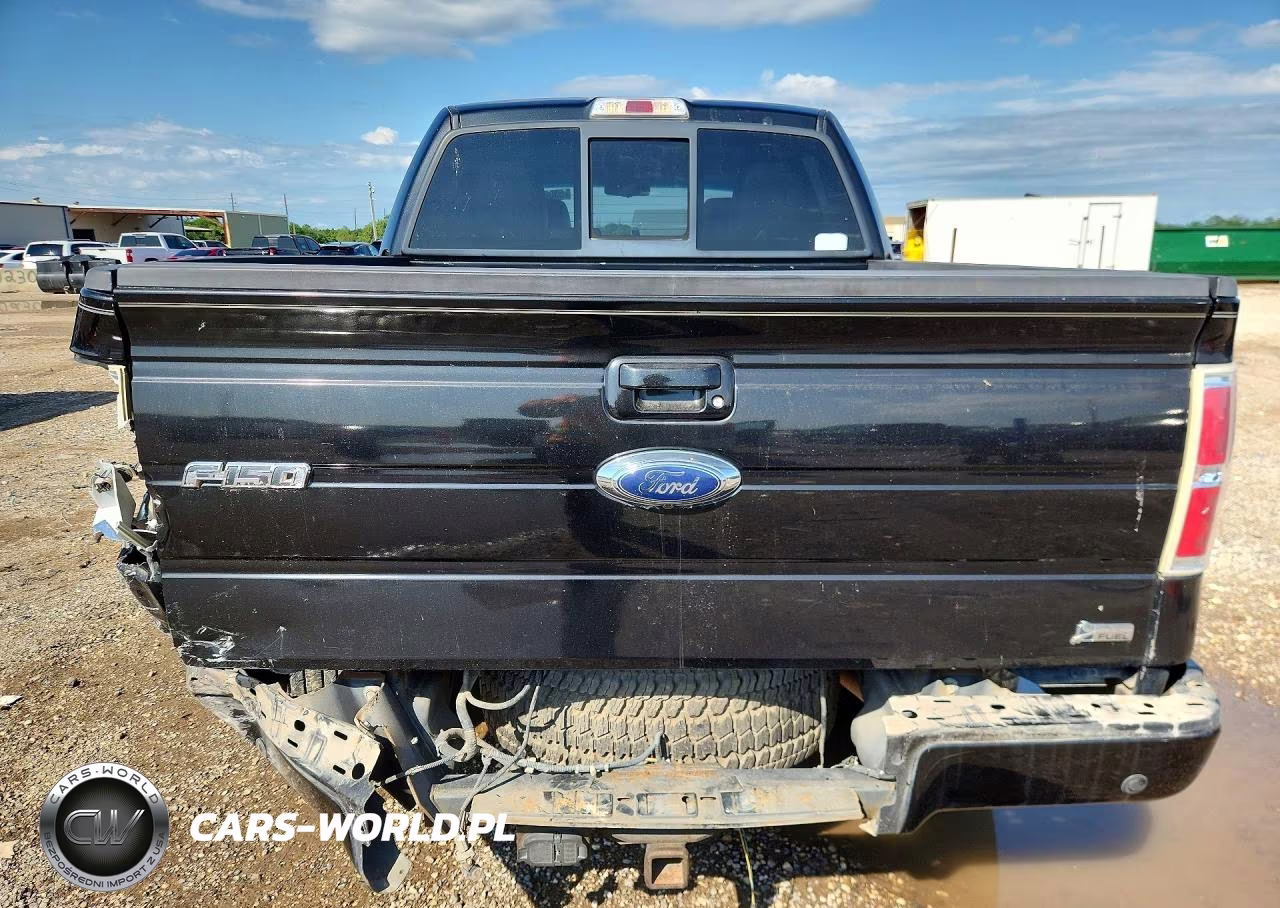 2010 Ford F150 Supercrew VIN:1FTFW1EV5AKE25173 - 6