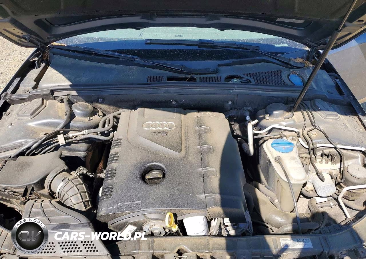 2010 Audi A4 Premium Plus VIN:WAUFFAFL0AN038233 - 11