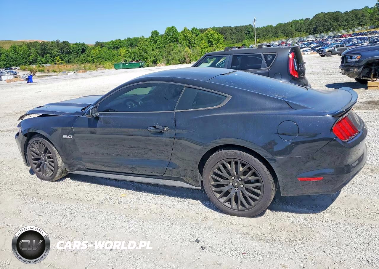 2016 Ford Mustang Gt VIN:1FA6P8CF9G5255169 - 2