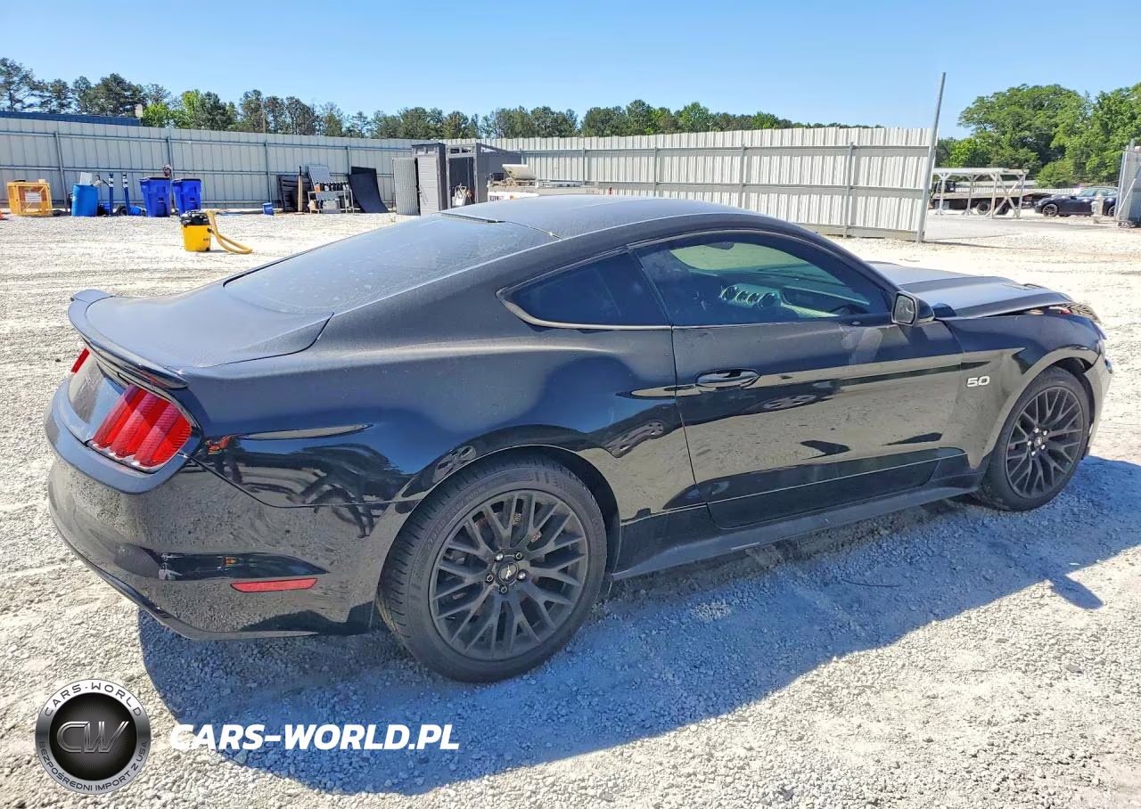 2016 Ford Mustang Gt VIN:1FA6P8CF9G5255169 - 3