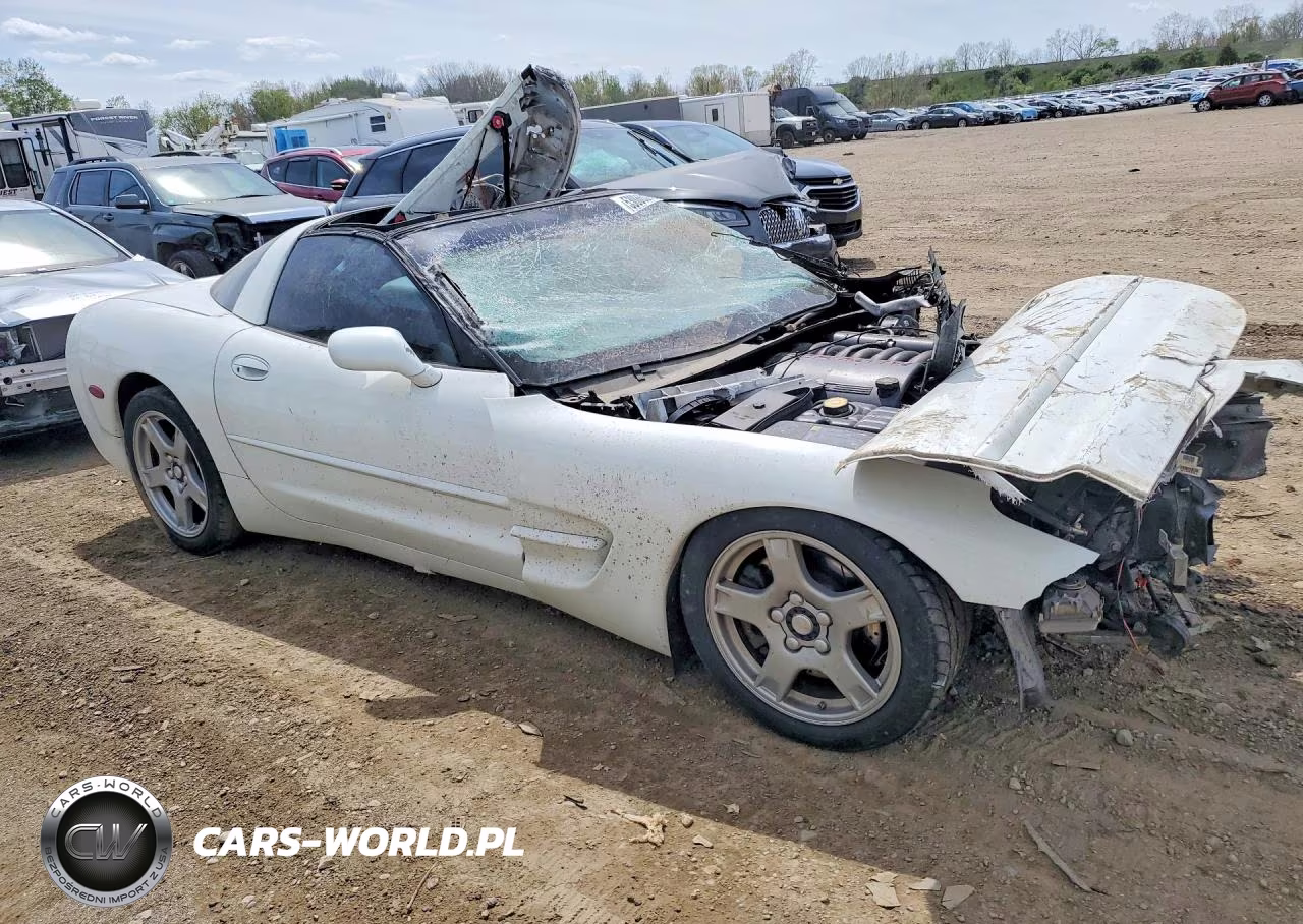 1999 Chevrolet Corvette VIN:1G1YY22GXX5115454 - 4