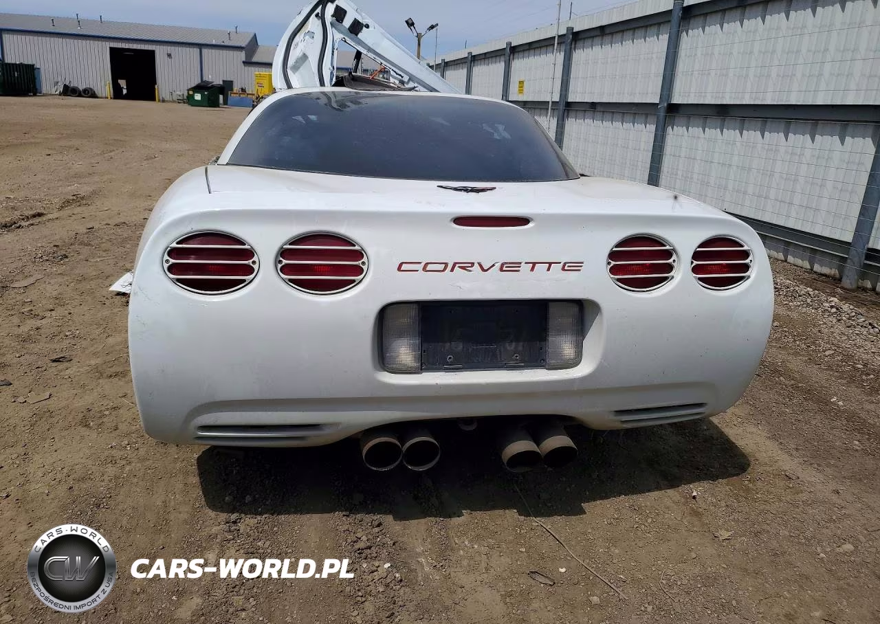 1999 Chevrolet Corvette VIN:1G1YY22GXX5115454 - 6