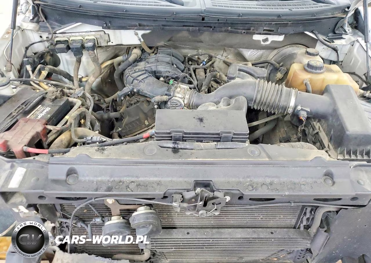2011 Ford F150 VIN:1FTMF1CM0BKD50790 - 11