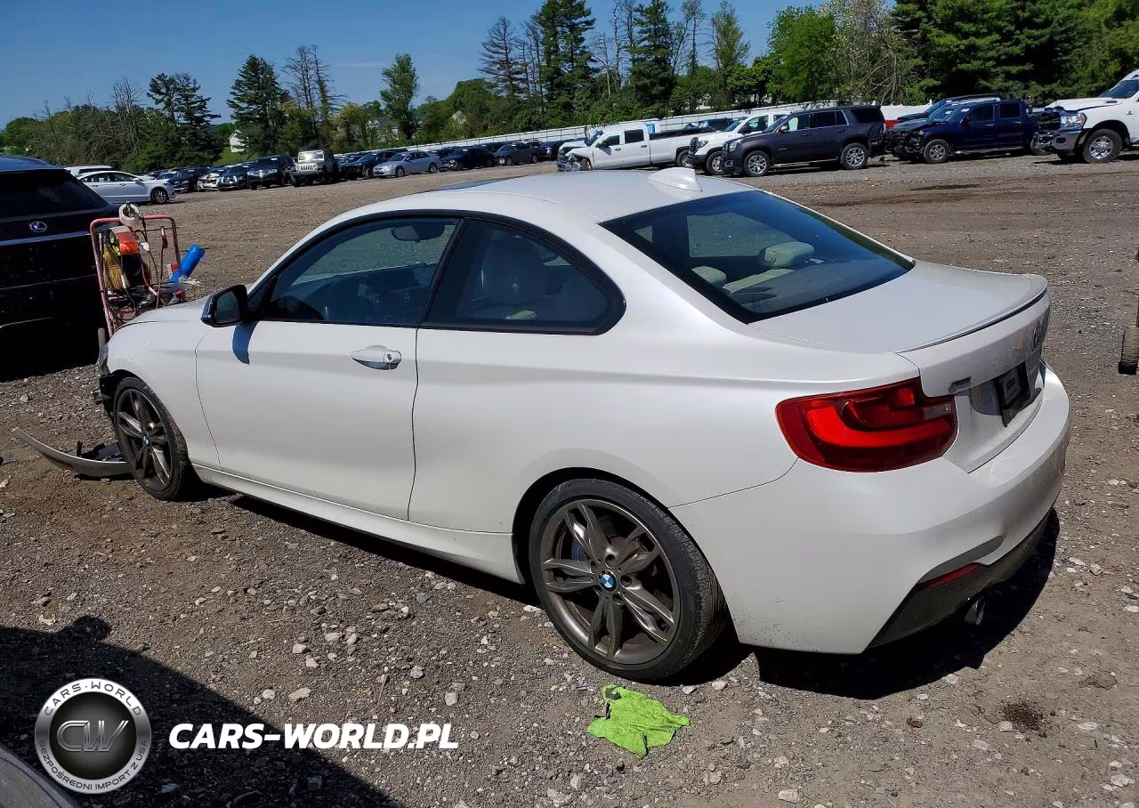 2015 BMW M235Xi VIN:WBA1J9C5XFVX98495 - 2