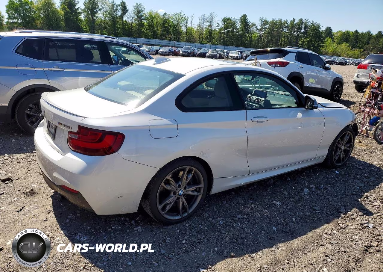 2015 BMW M235Xi VIN:WBA1J9C5XFVX98495 - 3