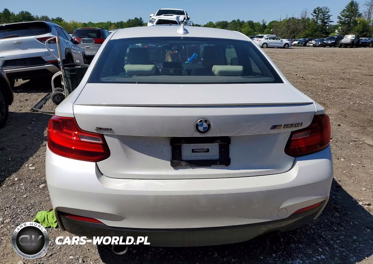 2015 BMW M235Xi VIN:WBA1J9C5XFVX98495 - 6