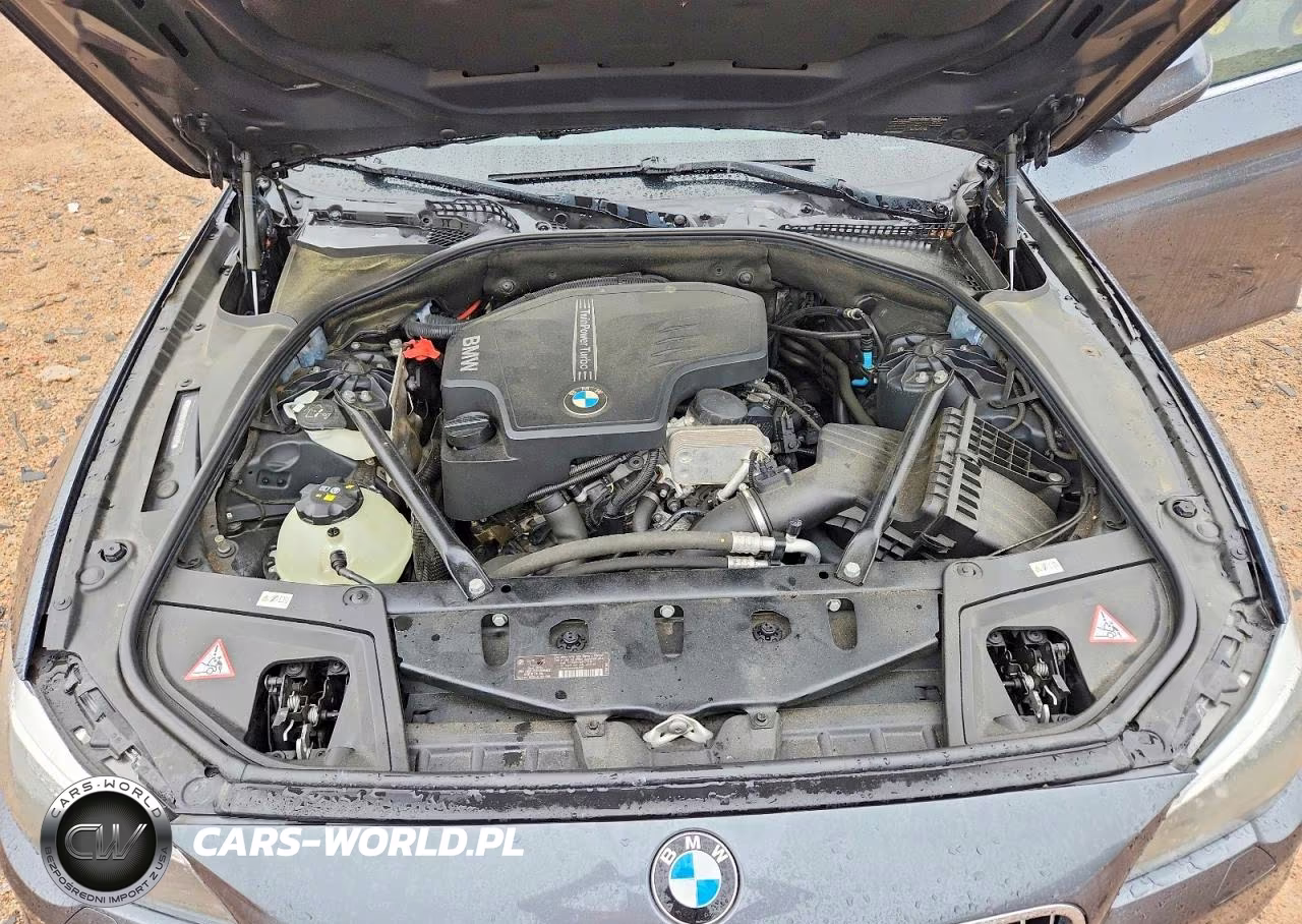 2015 BMW 528 I VIN:WBA5A5C52FD522215 - 11