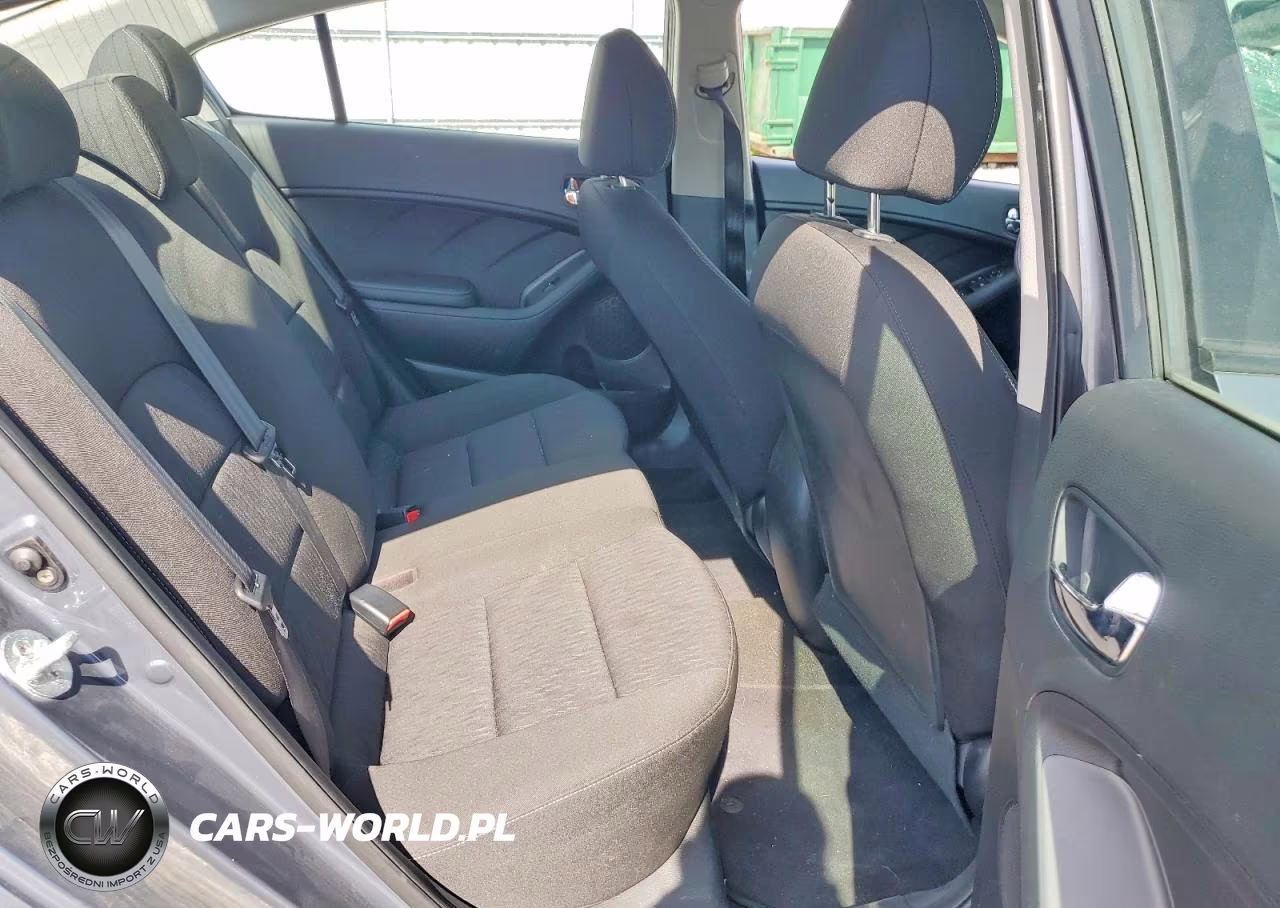 2016 Kia Forte Lx VIN:KNAFK4A65G5569564 - 10