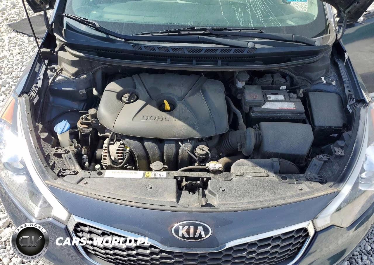 2016 Kia Forte Lx VIN:KNAFK4A65G5569564 - 11