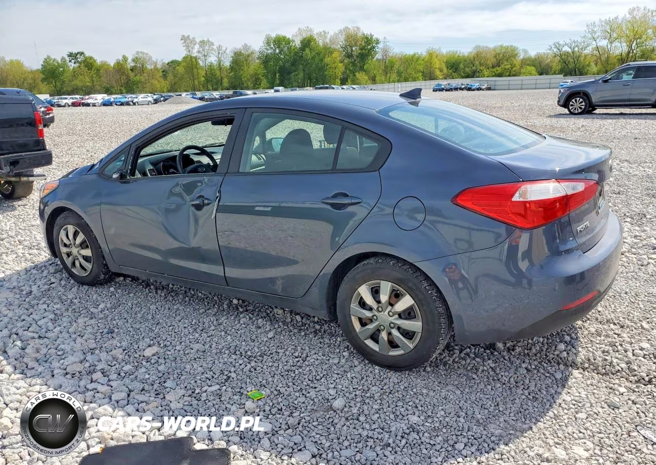 2016 Kia Forte Lx VIN:KNAFK4A65G5569564 - 2