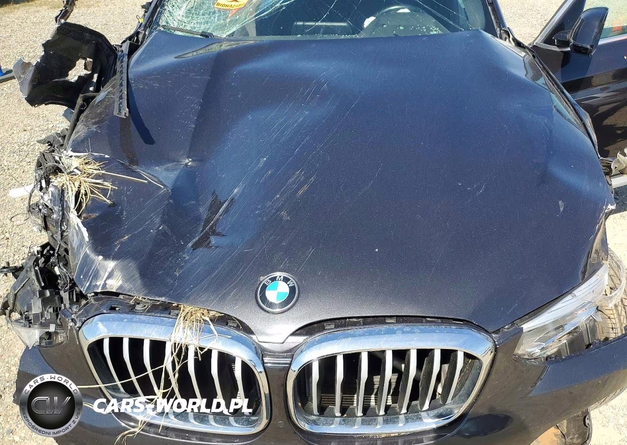 2021 BMW X3 Sdrive30I VIN:5UXTY3C00M9G36326 - 11