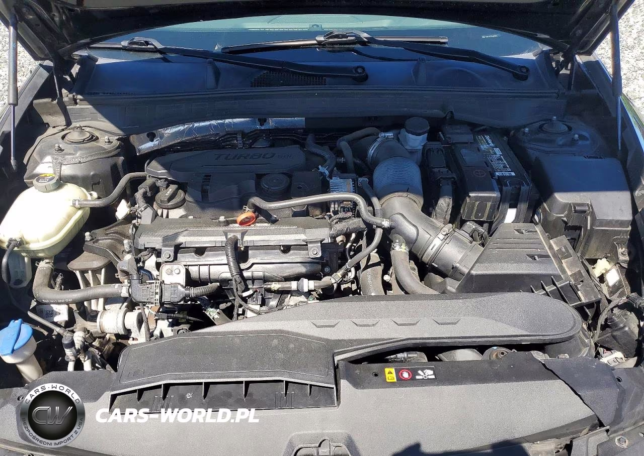 2020 Hyundai Sonata Sel Plus VIN:5NPEJ4J21LH023952 - 11