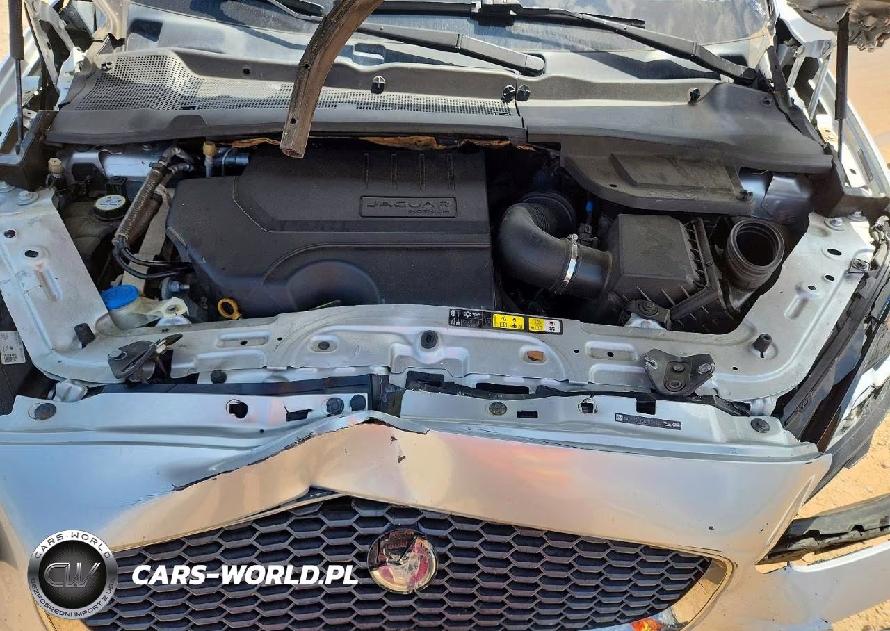 2019 Jaguar E-Pace Se VIN:SADFP2FX0K1Z39334 - 12