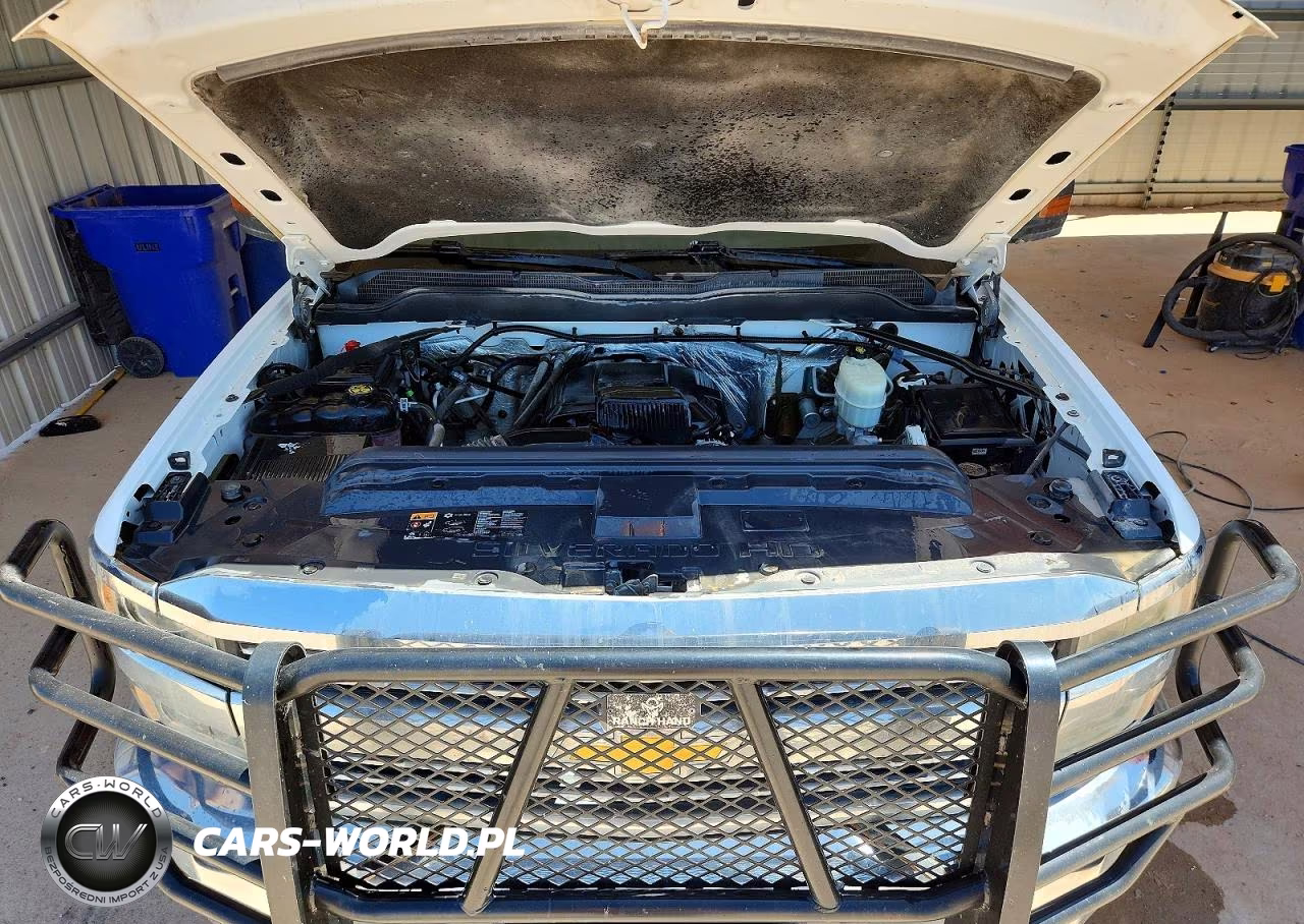 2017 Chevrolet Silverado C2500 Heavy Duty VIN:1GC2CUEG9HZ242497 - 11