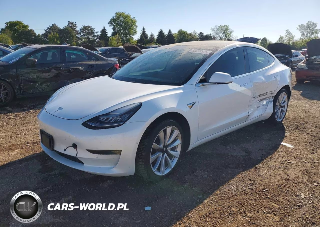 2019 Tesla Model 3