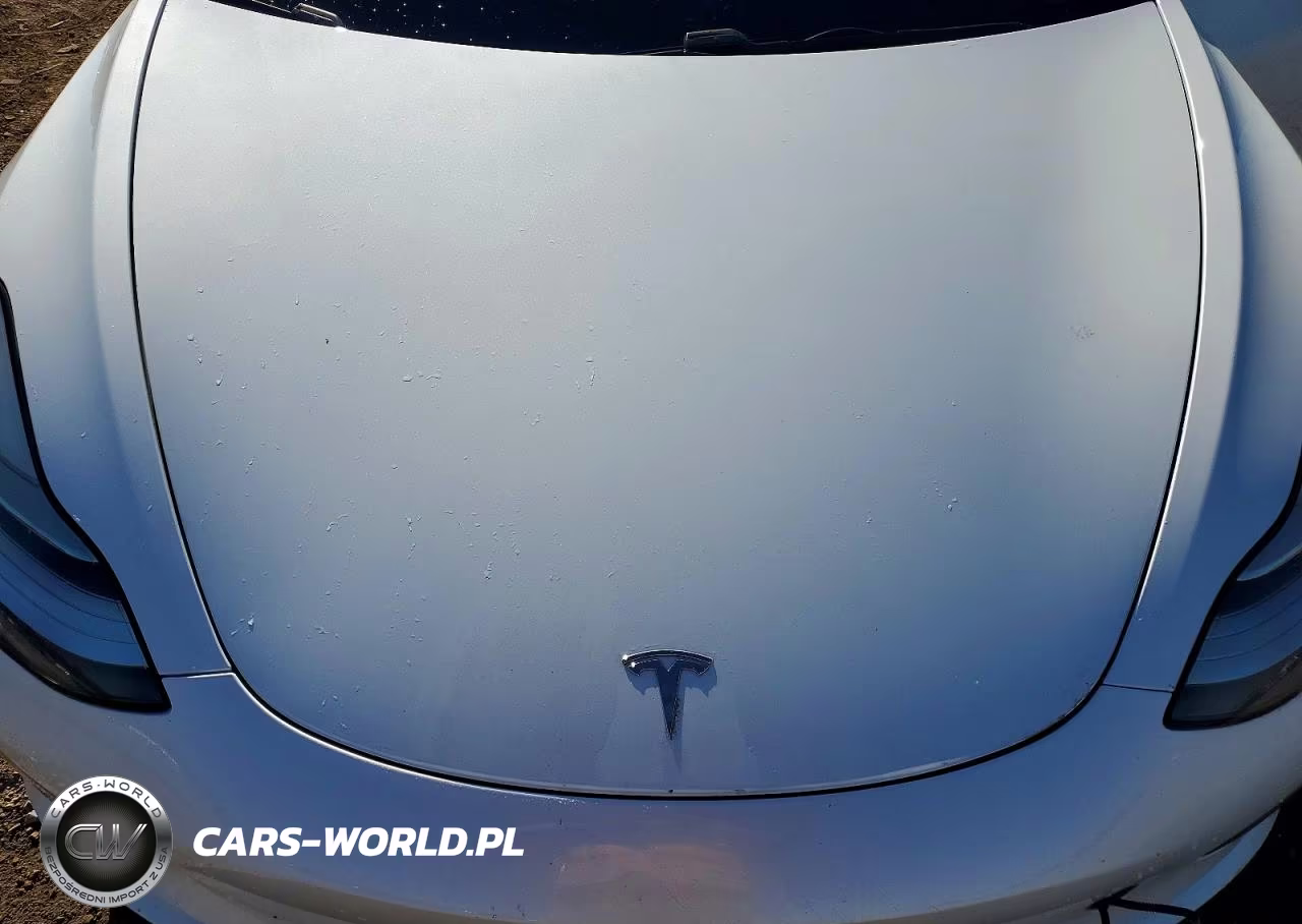 2019 Tesla Model 3 VIN:5YJ3E1EB7KF469394 - 11