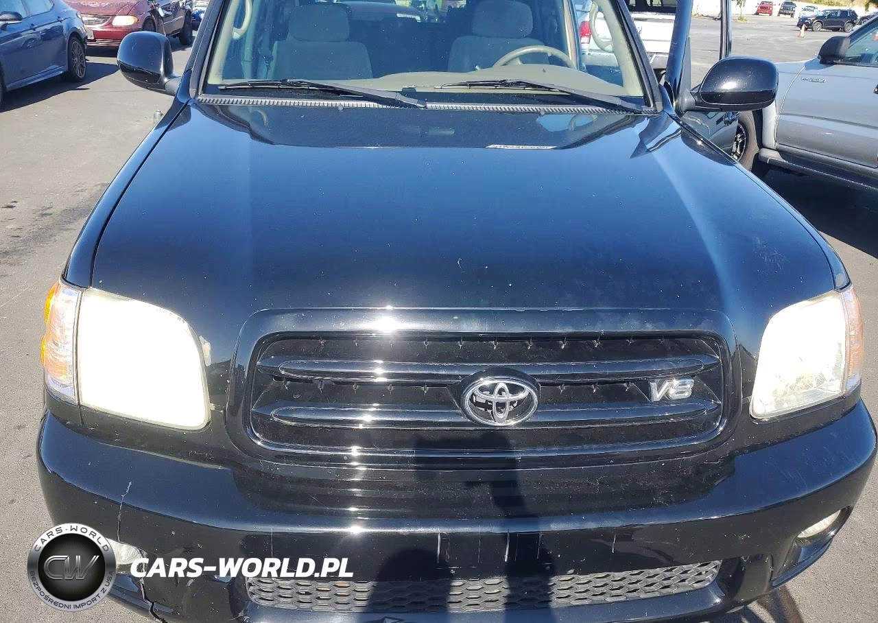 2002 Toyota Sequoia Sr5 VIN:5TDZT34A82S088606 - 12