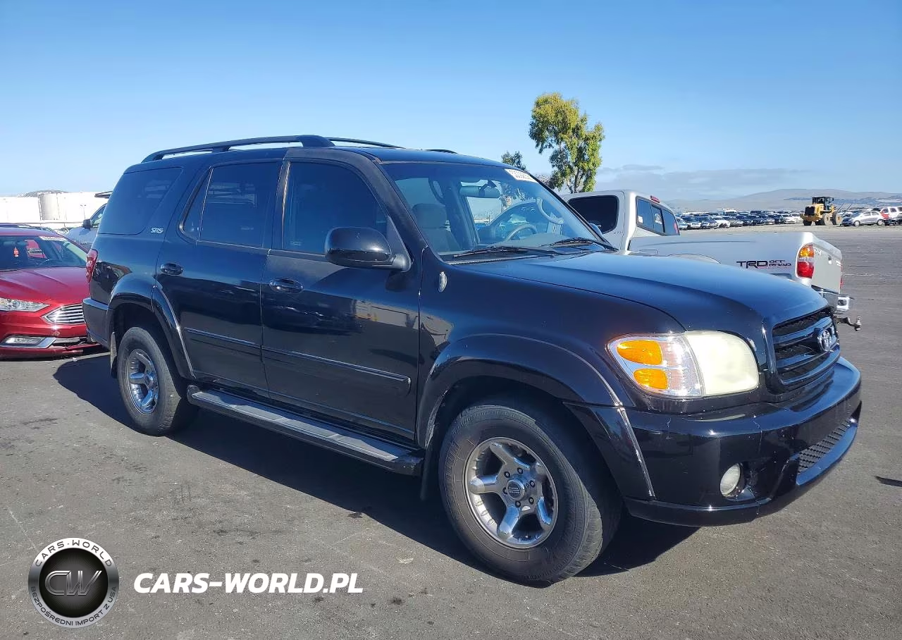 2002 Toyota Sequoia Sr5 VIN:5TDZT34A82S088606 - 4