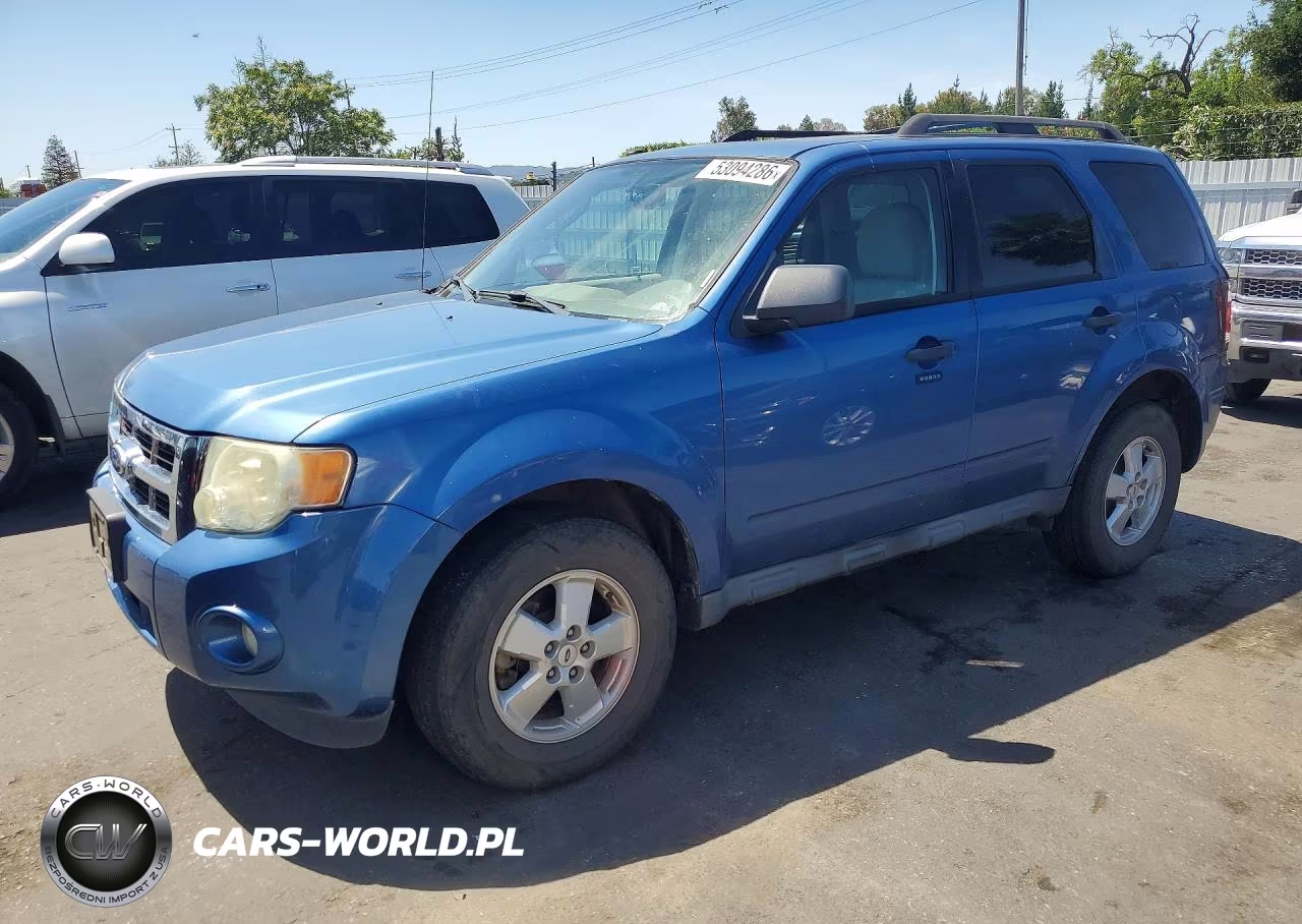 2010 Ford Escape Xlt