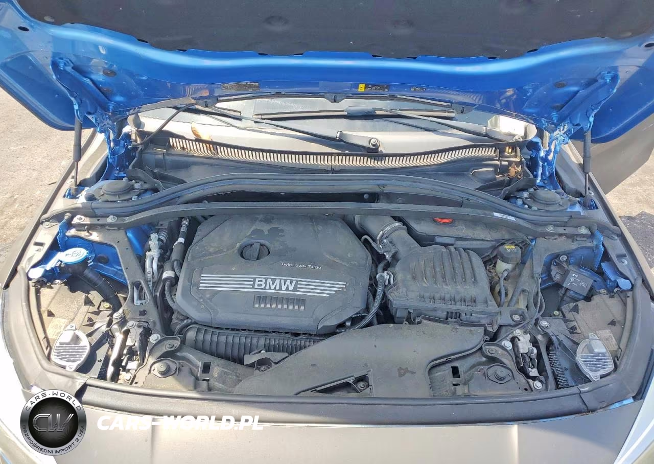 2021 BMW 228Xi VIN:WBA73AK08M7G35585 - 11