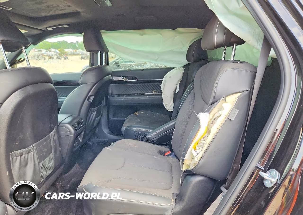 2025 Hyundai Palisade Calligraphy Night Edition VIN:KM8R7DGE0SU907883 - 11