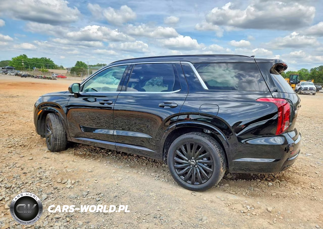 2025 Hyundai Palisade Calligraphy Night Edition VIN:KM8R7DGE0SU907883 - 2