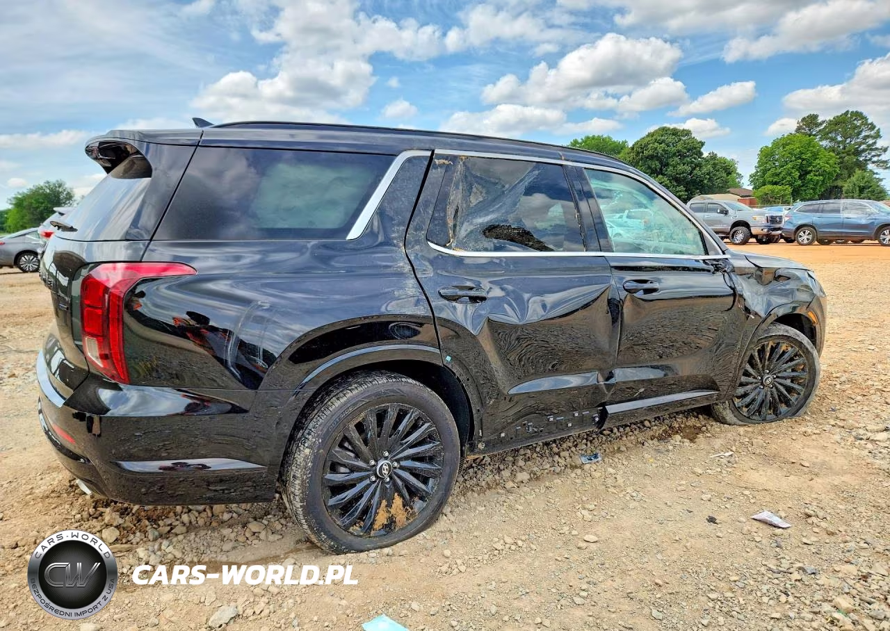 2025 Hyundai Palisade Calligraphy Night Edition VIN:KM8R7DGE0SU907883 - 3