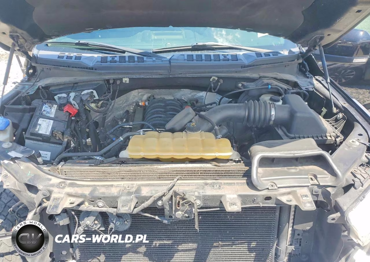 2019 Ford F150 Supercrew VIN:1FTEW1E59KFB48257 - 11