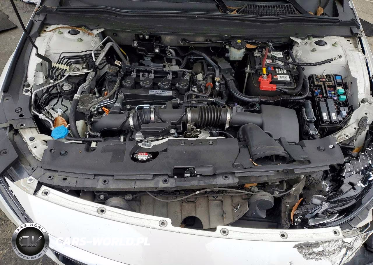 2019 Honda Accord Lx VIN:1HGCV1F17KA092615 - 11