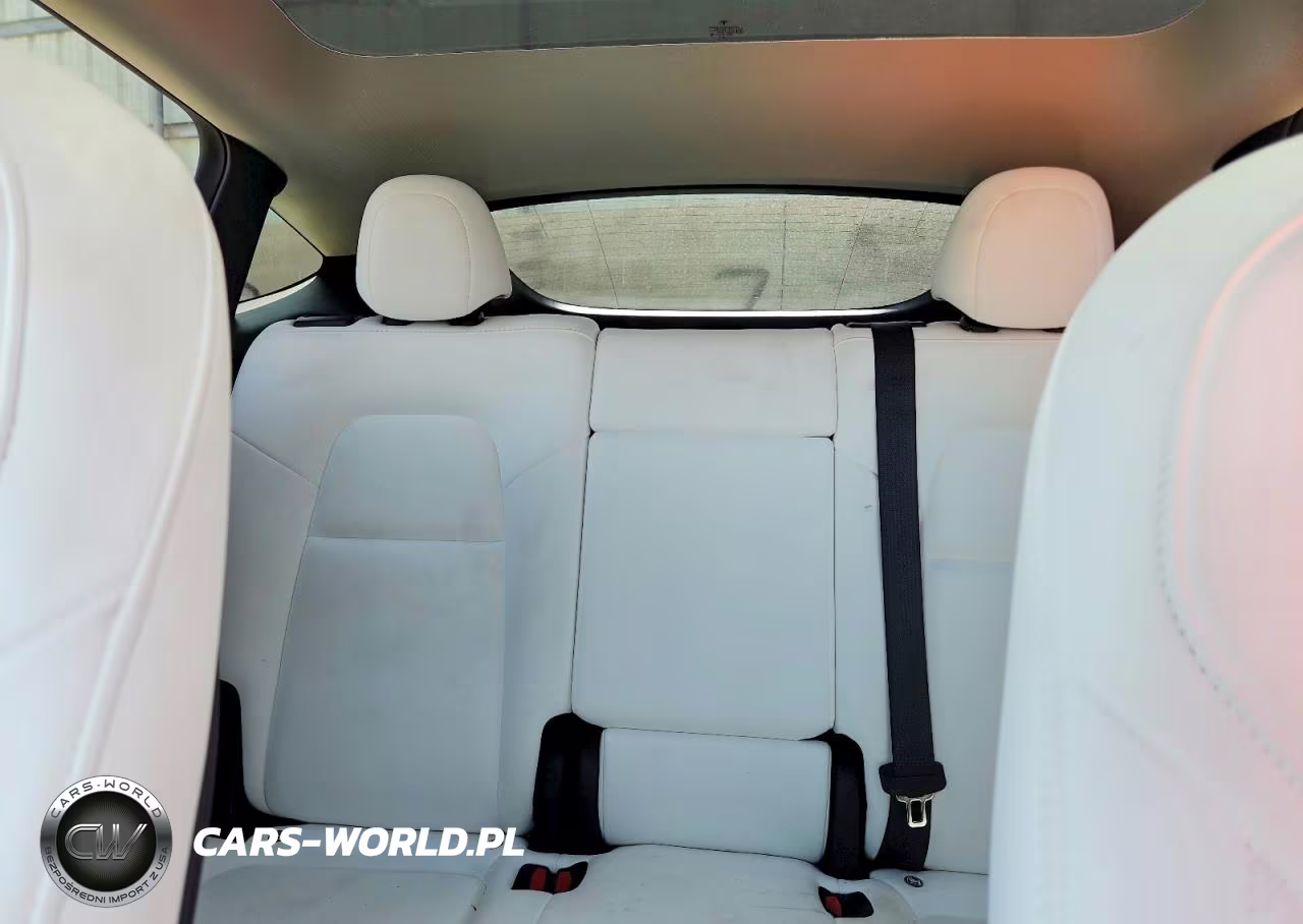 2023 Tesla Model Y VIN:7SAYGDEE7PF616075 - 10