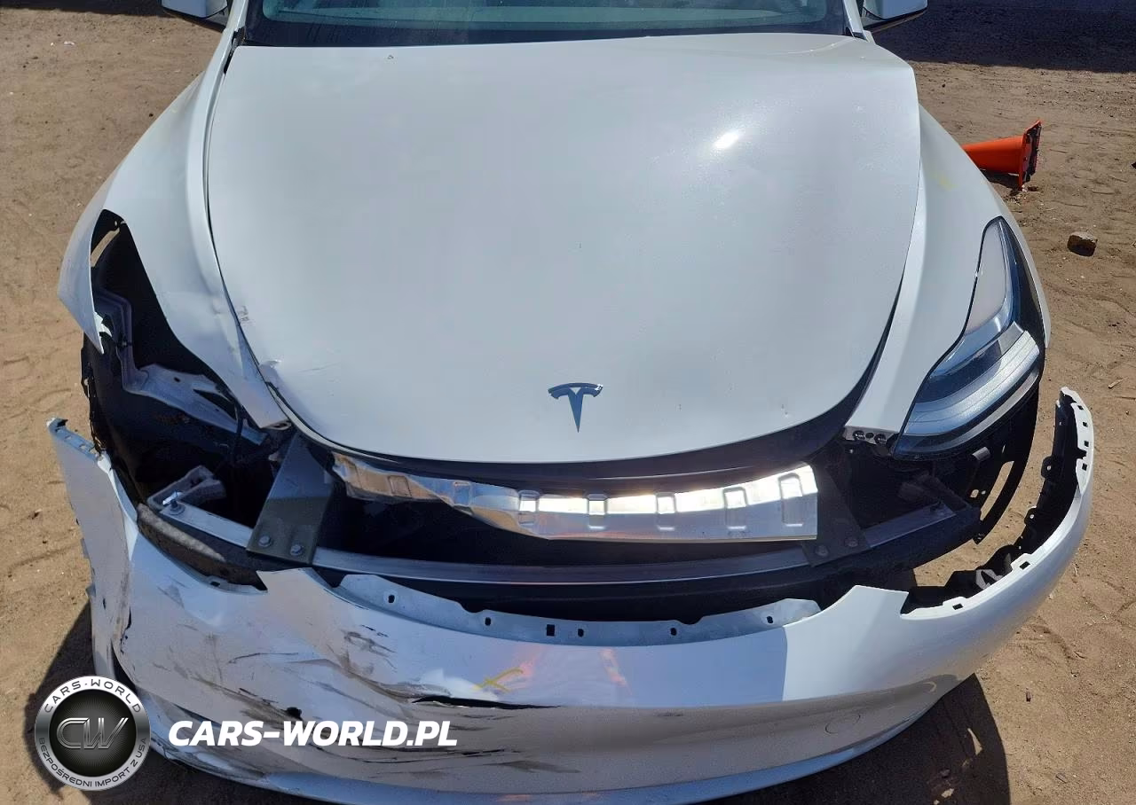 2023 Tesla Model Y VIN:7SAYGDEE7PF616075 - 12