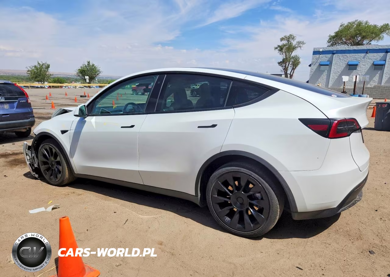 2023 Tesla Model Y VIN:7SAYGDEE7PF616075 - 2