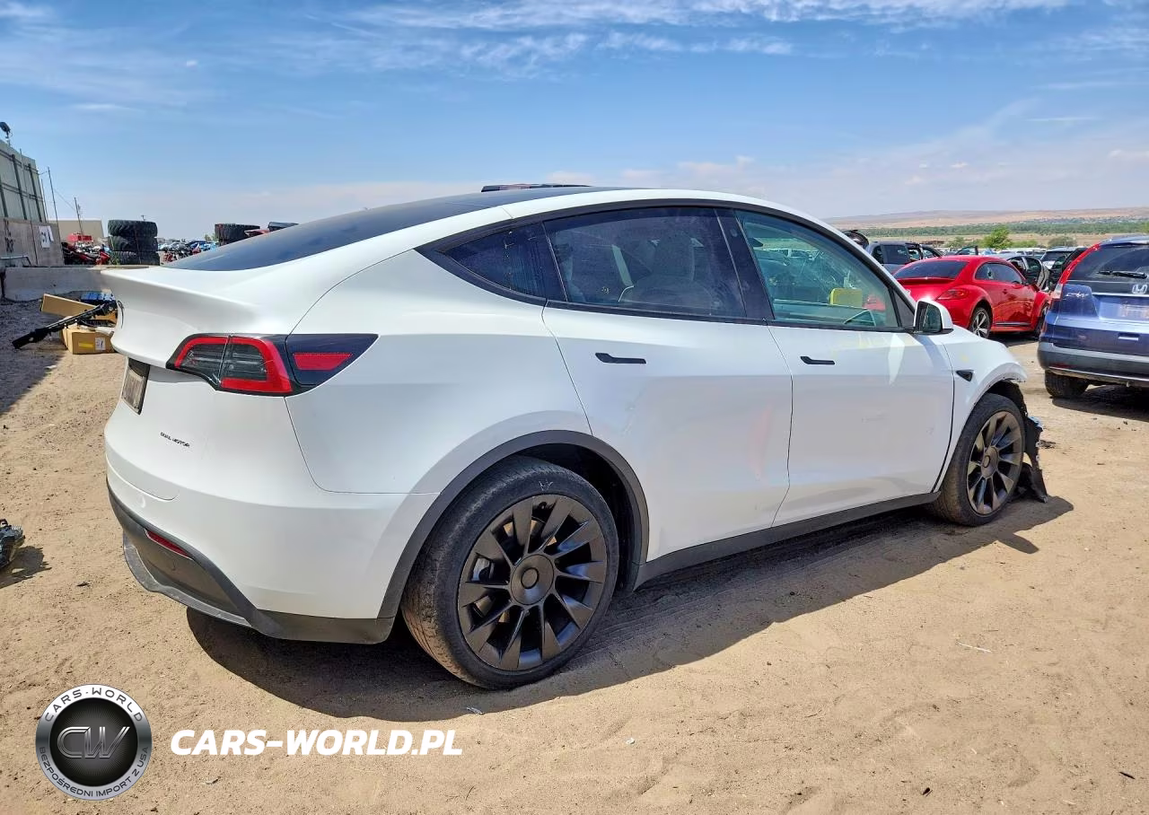 2023 Tesla Model Y VIN:7SAYGDEE7PF616075 - 3