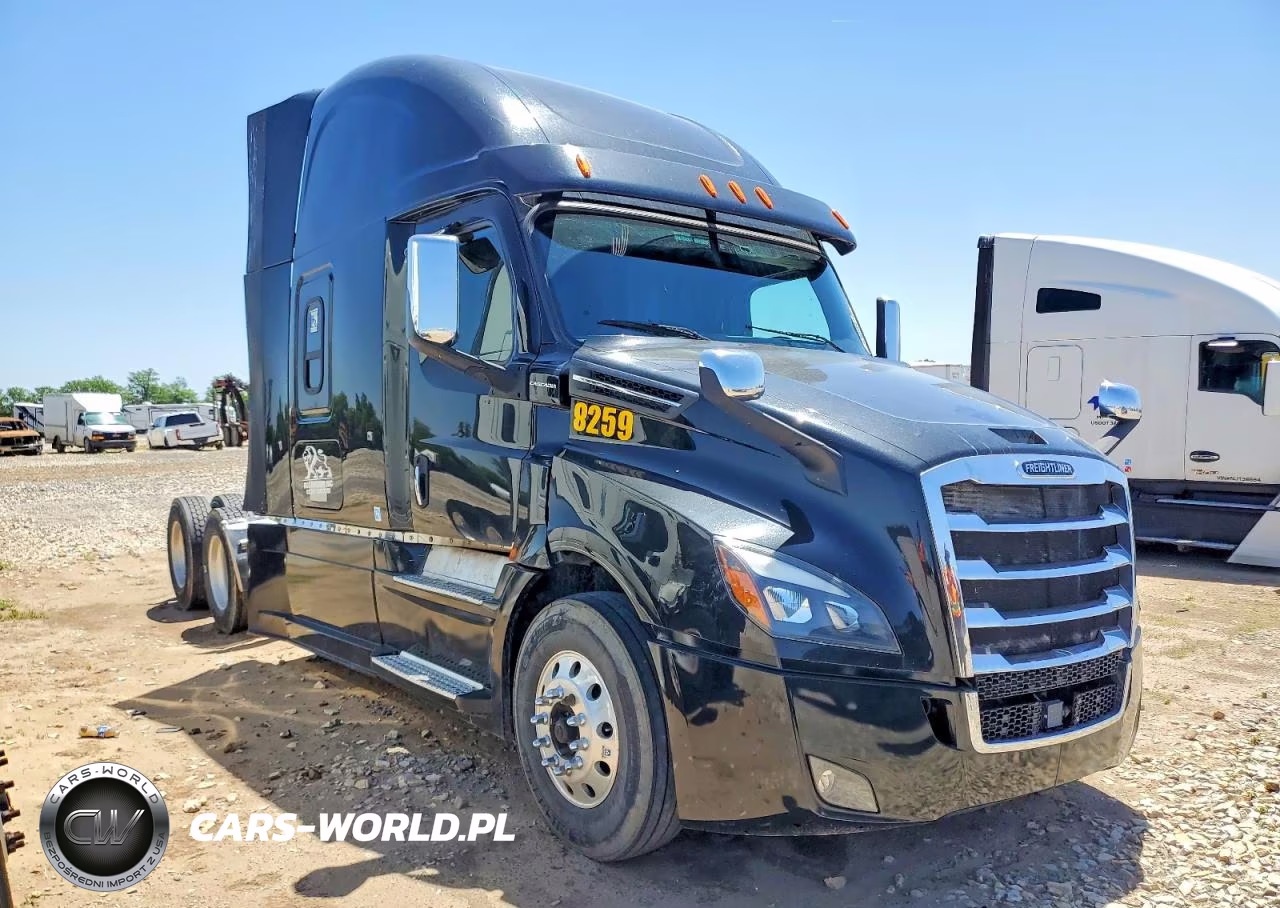 2020 Freightliner Cascadia 126 Semi Truck