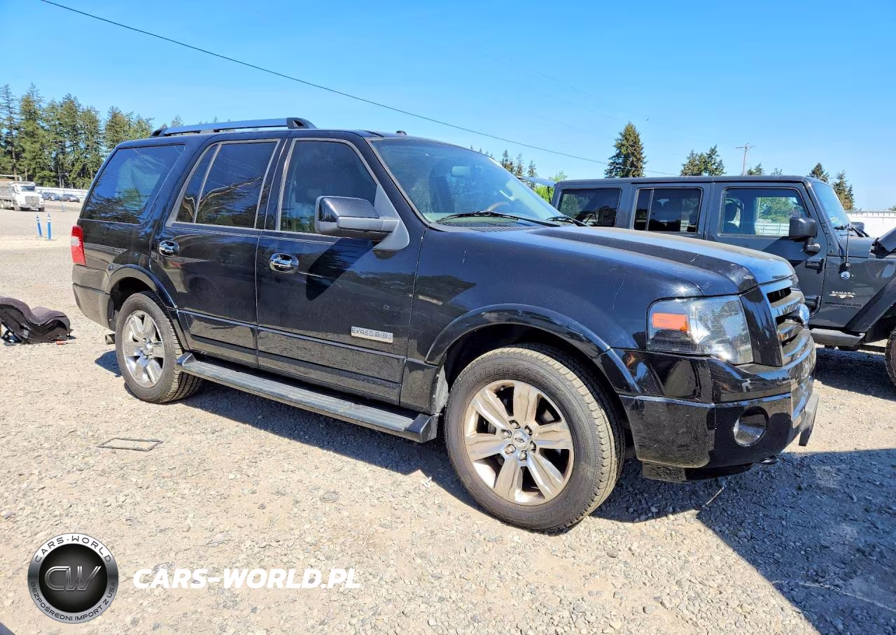 2007 Ford Expedition Limited VIN:1FMFU20587LA09006 - 4