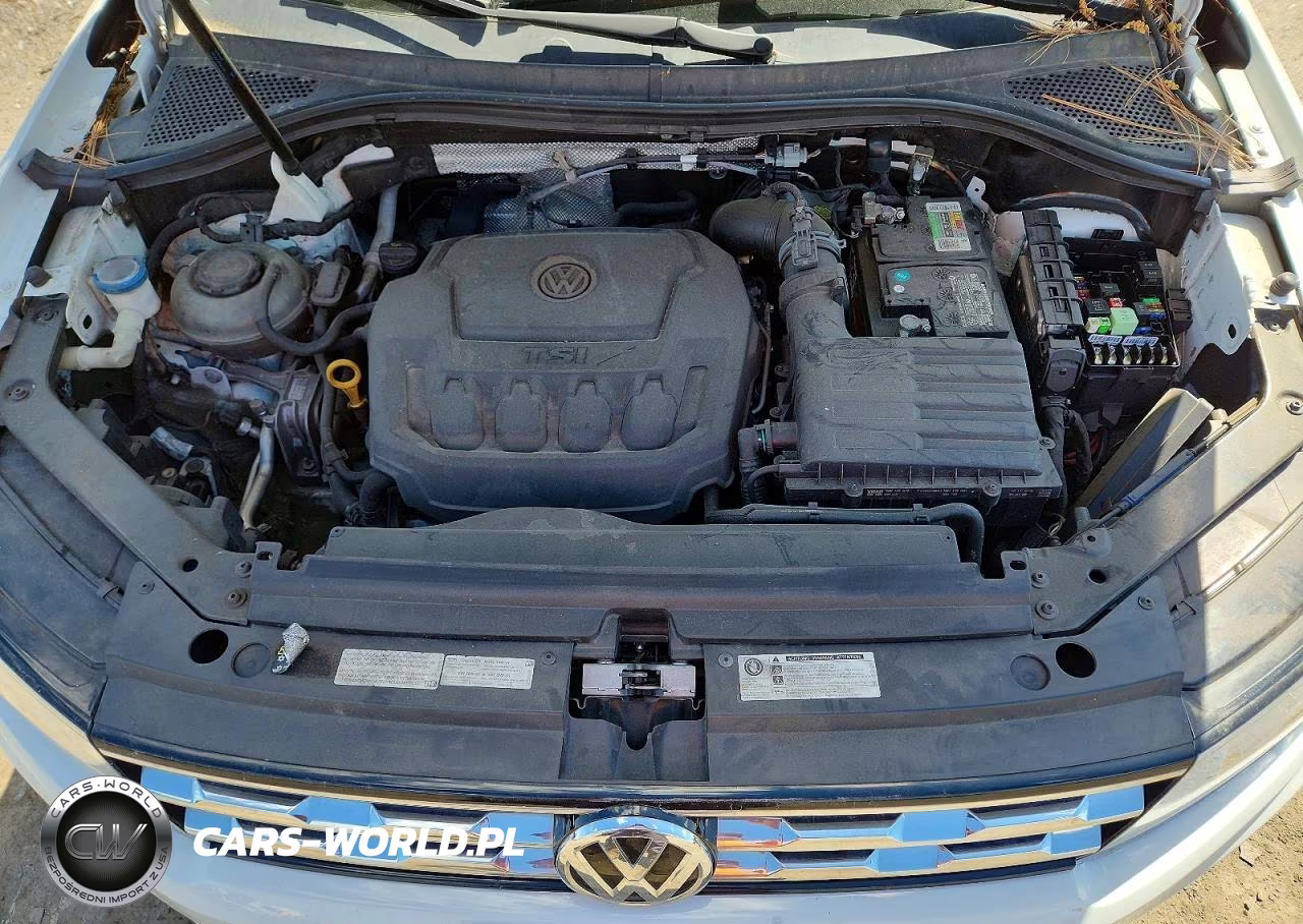 2019 Volkswagen Tiguan S VIN:3VV0B7AX5KM046441 - 12