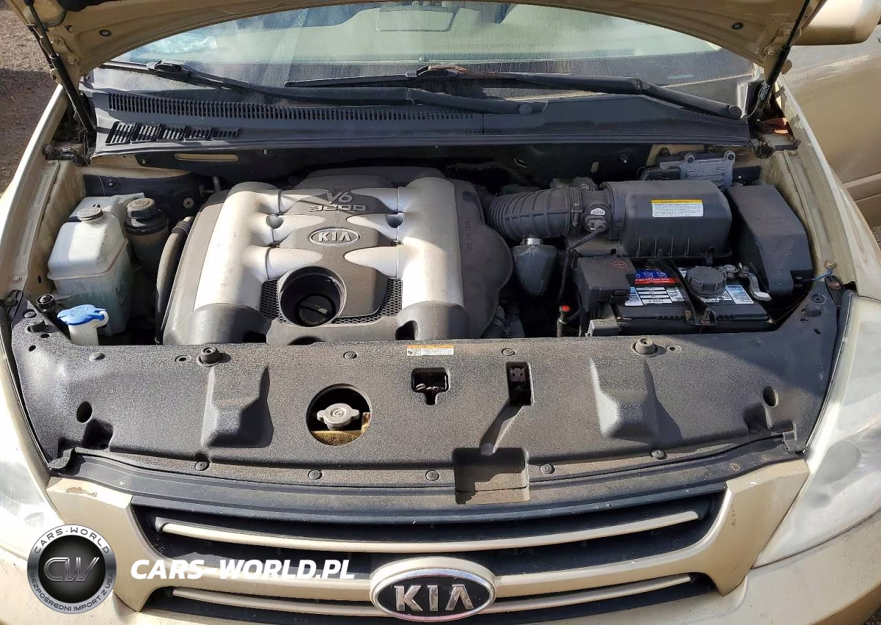 2006 Kia Sedona Lx VIN:KNDMB233366055884 - 12
