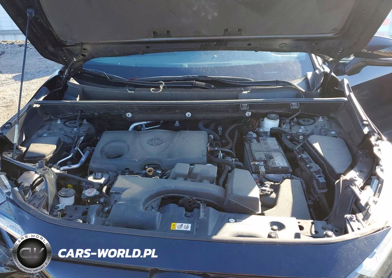 2023 Toyota Rav4 Xle VIN:2T3P1RFV0PC376370 - 12