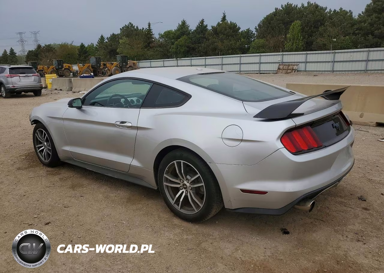 2017 Ford Mustang VIN:1FA6P8THXH5217842 - 2