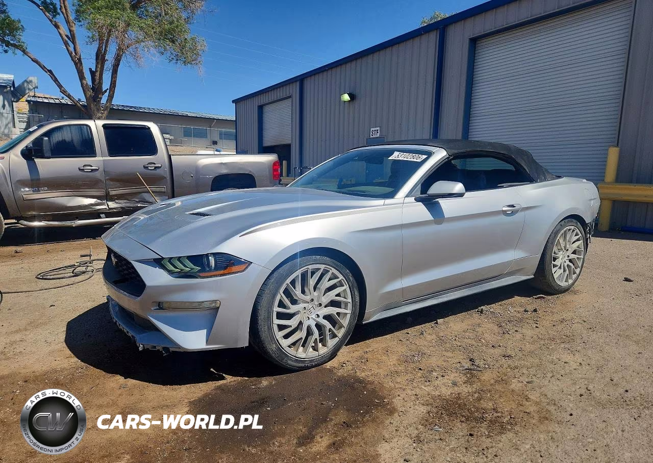 2019 Ford Mustang