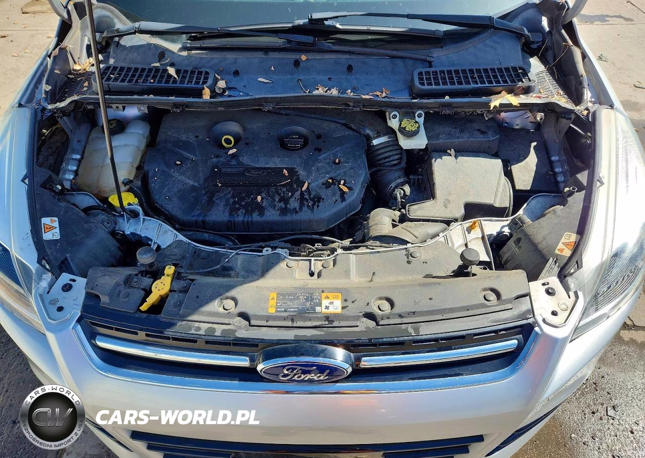 2016 Ford Escape Titanium VIN:1FMCU0J97GUC11838 - 12