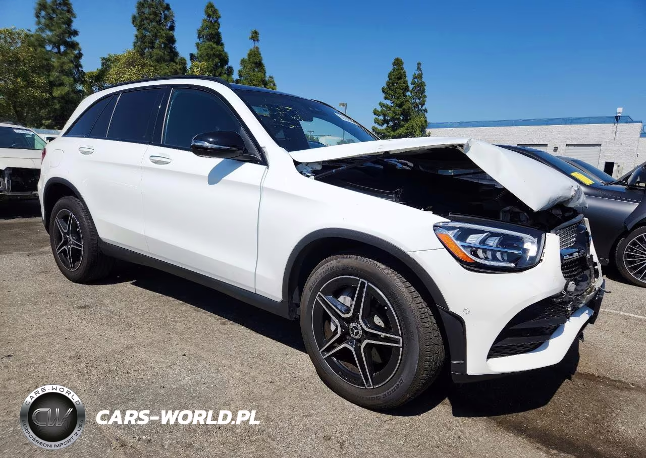 2022 Mercedes-Benz Glc 300 VIN:W1N0G8DB9NG095428 - 4