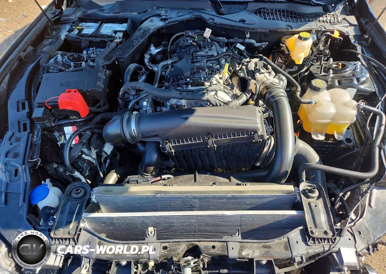 2024 Ford Mustang VIN:1FA6P8TH7R5141935 - 11