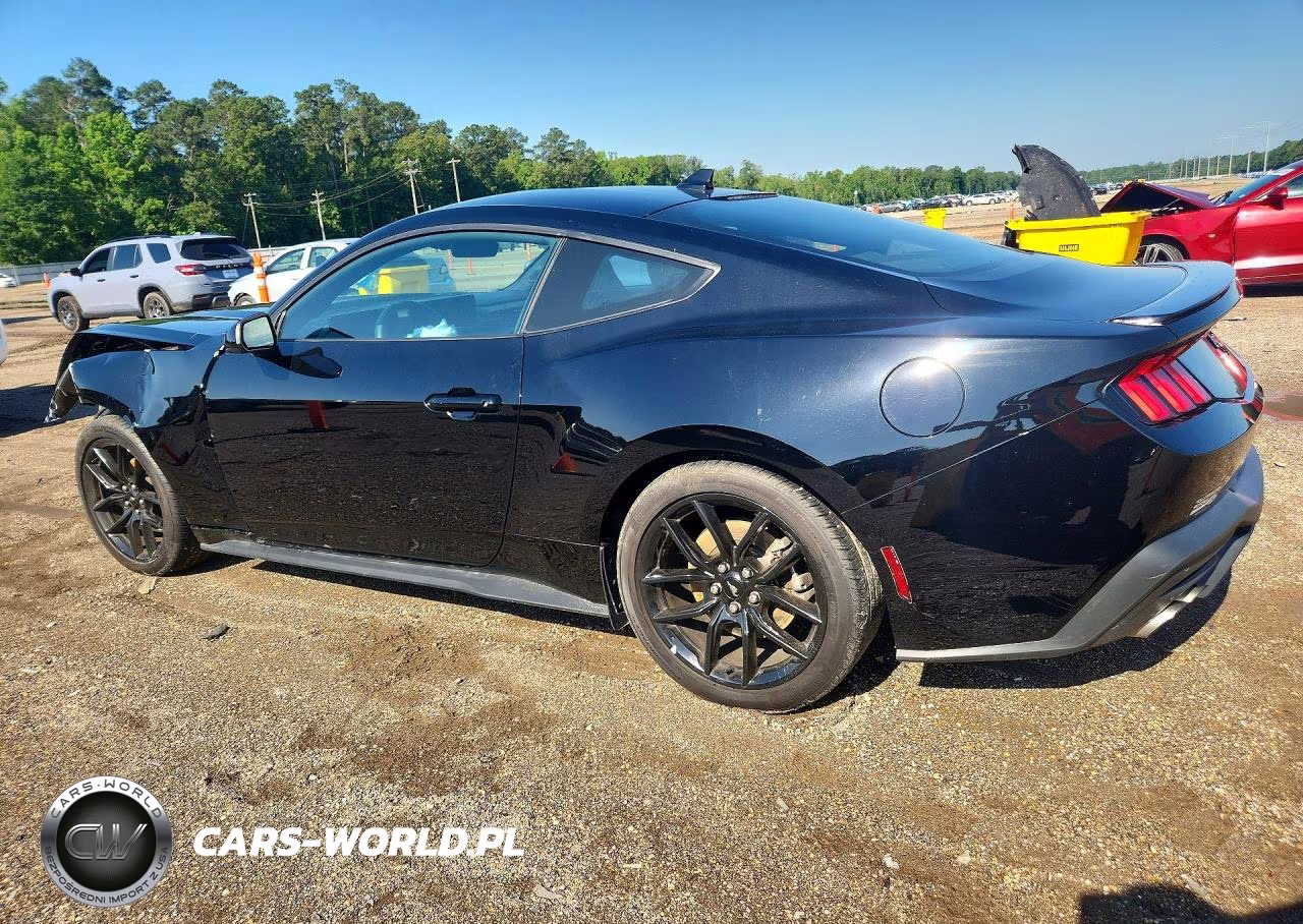 2024 Ford Mustang VIN:1FA6P8TH7R5141935 - 2