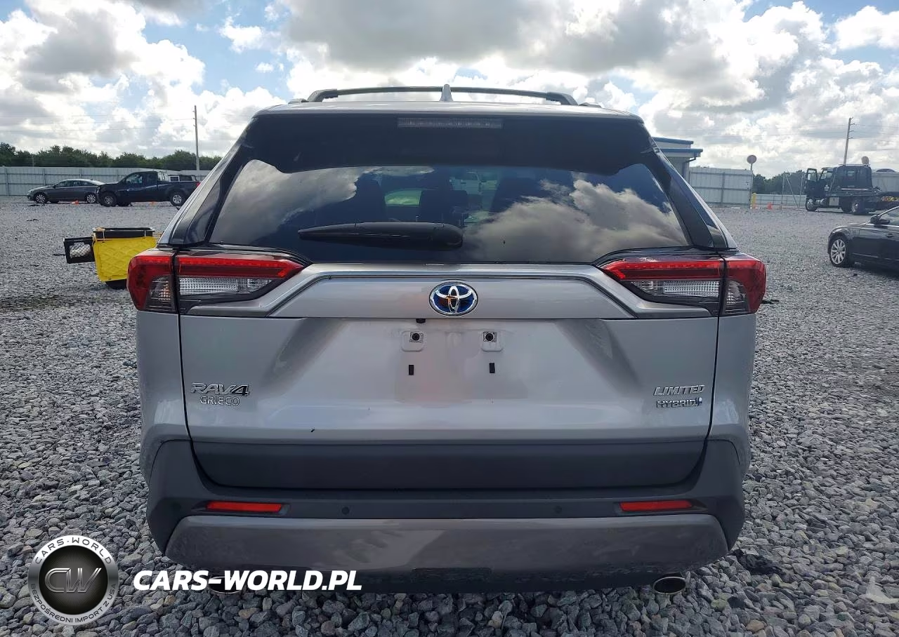 2019 Toyota Rav4 Limited VIN:JTMDWRFV7KD003948 - 6